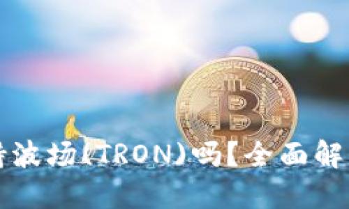 小狐钱包支持波场(TRON)吗？全面解读与使用指南