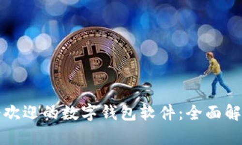美国最受欢迎的数字钱包软件：全面解析与比较