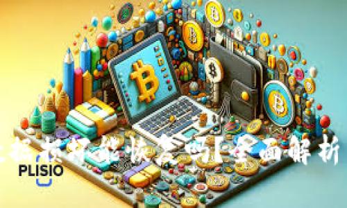 小狐钱包数据损坏能恢复吗？全面解析与解决技巧