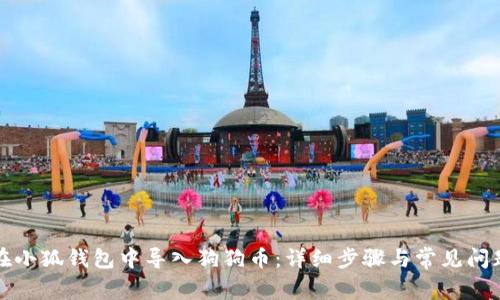 如何在小狐钱包中导入狗狗币：详细步骤与常见问题解答