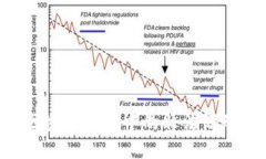 如何举报区块链钱包中的非法活动：全面指南