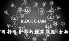 如何选择适合你的数字钱包：全面指南