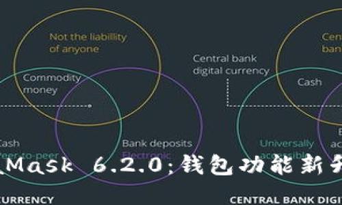 深入探讨MetaMask 6.2.0：钱包功能新升级及使用指南