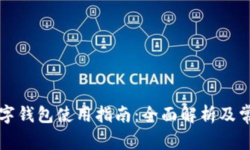 清华大学数字钱包使用指南：全面解析及常见问题解答