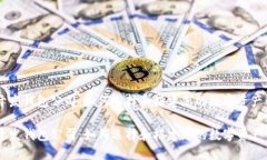 区块链开发钱包公司：如何选择和搭建您的数字