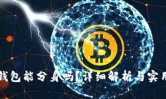 小狐钱包能分身吗？详细解析与实用指南