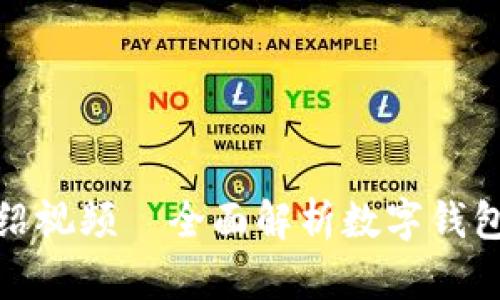 小狐钱包功能介绍视频—全面解析数字钱包的优势与实用性