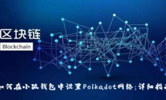 如何在小狐钱包中设置Polkadot网络：详细指南