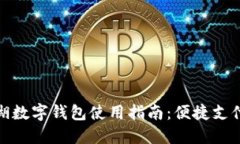 深圳罗湖数字钱包使用指南：便捷支付新体验